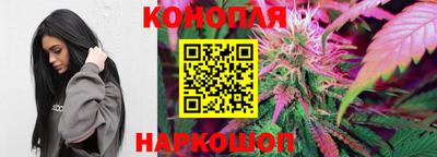 шишки Балашиха