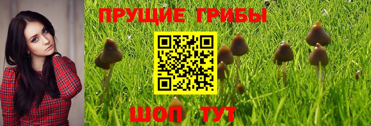 Псилоцибиновые грибы мицелий  Вход с VPN  Дзержинский 