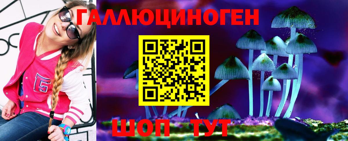 Псилоцибиновые грибы мицелий Дзержинский